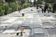 اهدا کنندگان عضو در بهشت رضا دفن می شوند