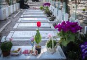 مدیرعامل بهشت زهرا: درب‌های بهشت زهرا فقط برای بستگان درجه یک متوفیان باز خواهد بود