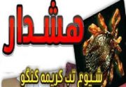 آخرین وضعیت شیوع تب کریمه کنگو