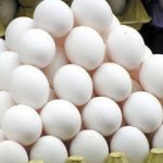 صادرات تخم مرغ همچنان ممنوع است