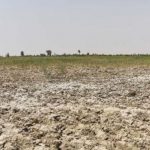 بارندگی‌های نرمال از خشکسالی‌های اخیر کاهش داده است