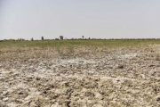 بارندگی‌های نرمال از خشکسالی‌های اخیر کاهش داده است