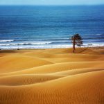 حاکمیت خوب، حاکمیت بد/ سودجویی بخش خصوصی دریاهای جنوب را نابود می‌کند