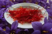 رفع تنگناهای ارزی صادرات زعفران/ ۹۰ درصد زعفران دنیا را تامین می‌کنیم