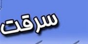 ورود پلیس آگاهی به پرونده سرقت منزل نماینده مجلس