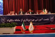 سککوک پلتفرمی کارآمد برای توسعه فضای کسب و کار