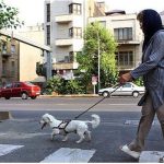 ممنوعیت سگ گردانی در اماکن عمومی