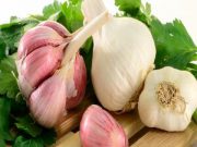 معجزه سیر در لاغری!