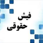فیش‌های حقوقی رو نشد؛ نوبت به اطلاعات کارکنان رسید!