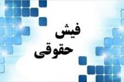 فیش‌های حقوقی رو نشد؛ نوبت به اطلاعات کارکنان رسید!