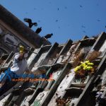 دخمه‌های عجیب و غریب برای مردگان اجاره‌ای/ اینجا با مرگ هم شوخی می‌کنند!