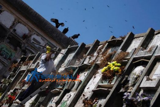 دخمههای عجیب و غریب برای مردگان اجارهای/ اینجا با مرگ هم شوخی میکنند! دخمههای عجیب و غریب برای مردگان اجارهای/ اینجا با مرگ هم شوخی میکنند!