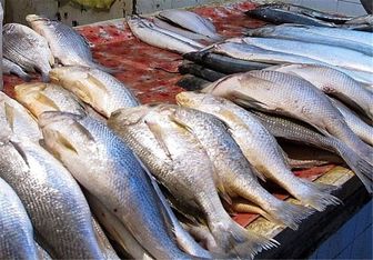 مواد موثر برای تقویت سیستم ایمنی بدن در ایام کرونایی مواد موثر برای تقویت سیستم ایمنی بدن در ایام کرونایی
