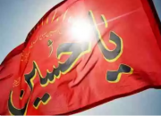 چالش جدید کاربران به مناسبت دهه محرم؛ده روز بدون آرایش