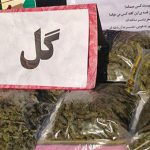 جوان های ما چه گلی به سرشان می زنند/همه چيز درباره دومين ماده مخدر پر مصرف کشور؛ از سرخي چشمها تا از دست رفتن حافظه!