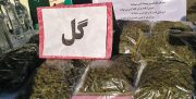 جوان های ما چه گلی به سرشان می زنند/همه چيز درباره دومين ماده مخدر پر مصرف کشور؛ از سرخي چشمها تا از دست رفتن حافظه!