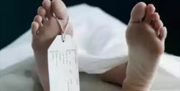 گواهی فوت الکترونیکی می شود