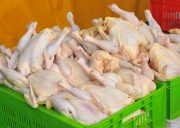 قیمت مرغ ١۵ هزار تومان کاهش یافت/ نرخ به ٢٢٨٠٠ تومان رسید