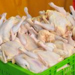 توزیع مرغ منجمد،قیمت کاذب بازار را شکست