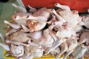 عرضه ۱۴۰۰ تُن مرغ گرم در تهران از امروز