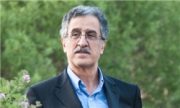 حذف ارز ۴۲۰۰ تومانی در بودجه به صلاح نیست