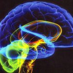 در مغز یک بیمار روانی چه می گذرد؟