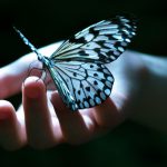 داستان خیال انگیز سفر عاشقانه من و پروانه