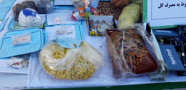 مواد مخدر های جدید بازار /چای، بادام هندی و تخمه جابانیهای تریاکی مواد مخدر های جدید بازار /چای، بادام هندی و تخمه جابانیهای تریاکی