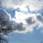 شمال کشور بارانی می شود