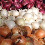 پیاز در آستانه 5 هزار تومان