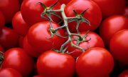 فواید شگفت انگیز گوجه فرنگی که نمی‌دانستید