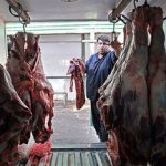قاچاق عامل گرانی گوشت قرمز است