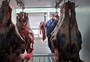 قاچاق عامل گرانی گوشت قرمز است
