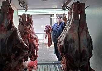 قاچاق عامل گرانی گوشت قرمز است قاچاق عامل گرانی گوشت قرمز است