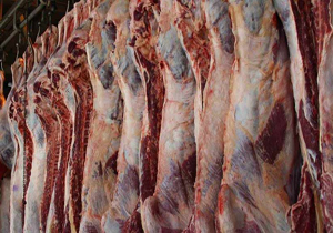 چرا قیمت گوشت ارزان نمی شود/گره کور در واحدهای دامداری چرا قیمت گوشت ارزان نمی شود/گره کور در واحدهای دامداری